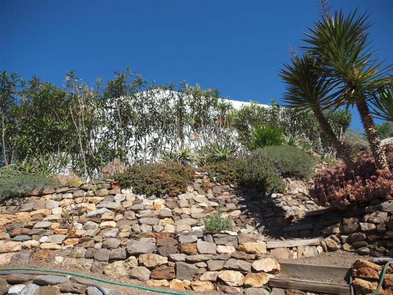 Finca - Cortijo Sedella Málaga - image 26