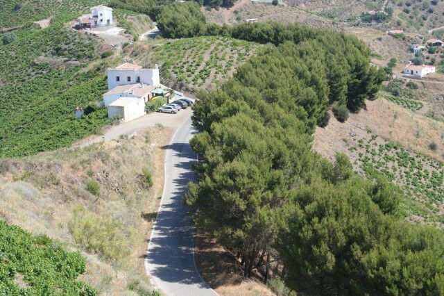 Finca - Cortijo El Borge Málaga - image 27