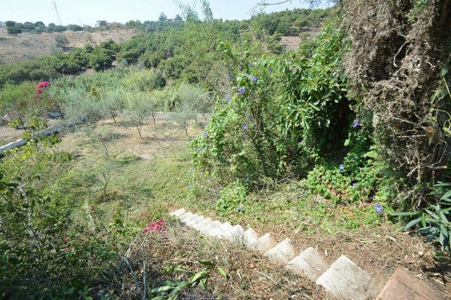 Finca - Cortijo Almayate Málaga - image 27