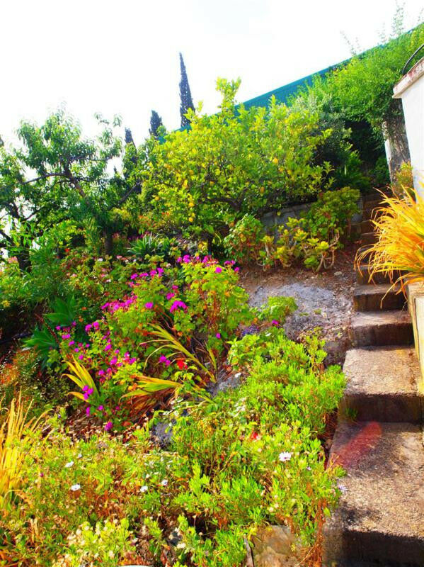 Finca - Cortijo Almayate Málaga - image 27