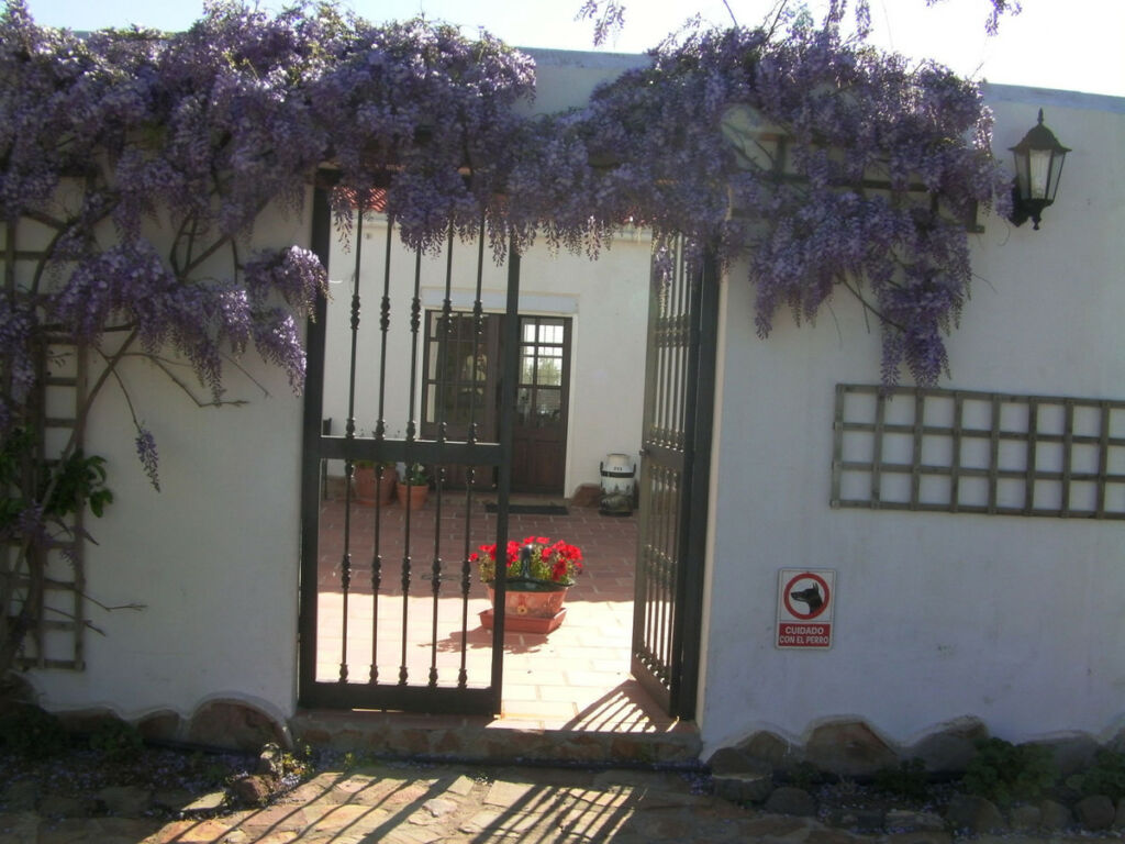 Detached Villa Colmenar Málaga - image 27