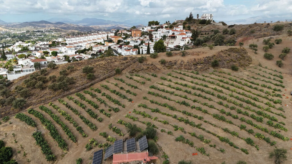 Finca - Cortijo Coín Málaga - image 28