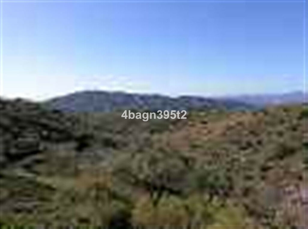 Detached Villa Sedella Málaga - image 28