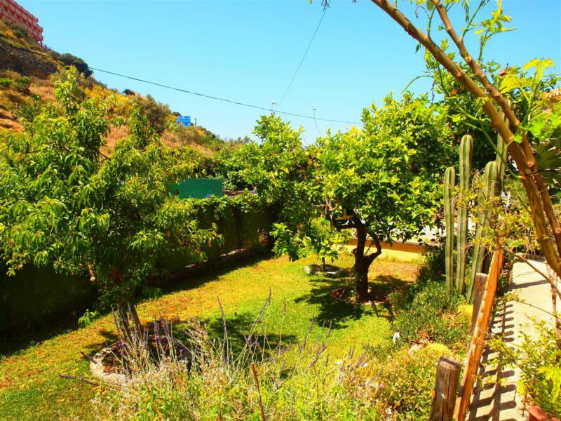 Finca - Cortijo Rincón de la Victoria Málaga - image 28