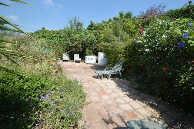 Finca - Cortijo Almayate Málaga - image 28