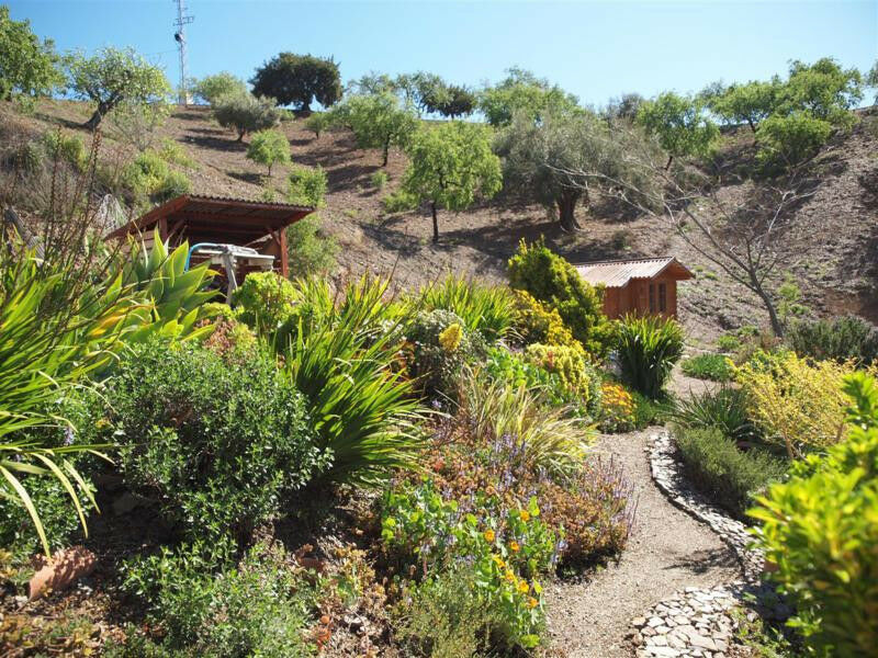 Finca - Cortijo Sedella Málaga - image 28