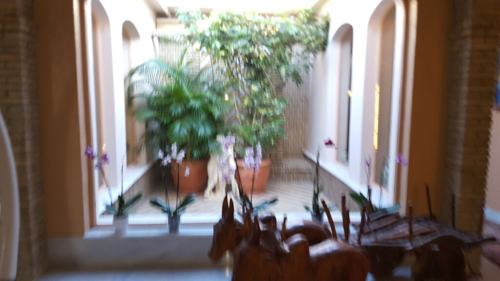 Detached Villa Conil de la Frontera Cádiz - image 28