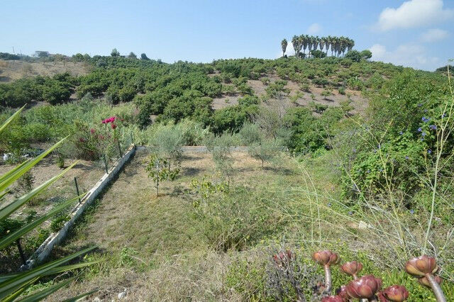 Finca - Cortijo Almayate Málaga - image 29