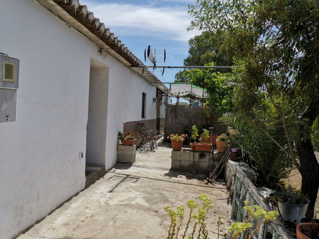 Finca - Cortijo Triana Málaga - image 28