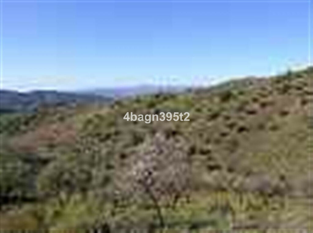 Detached Villa Sedella Málaga - image 29