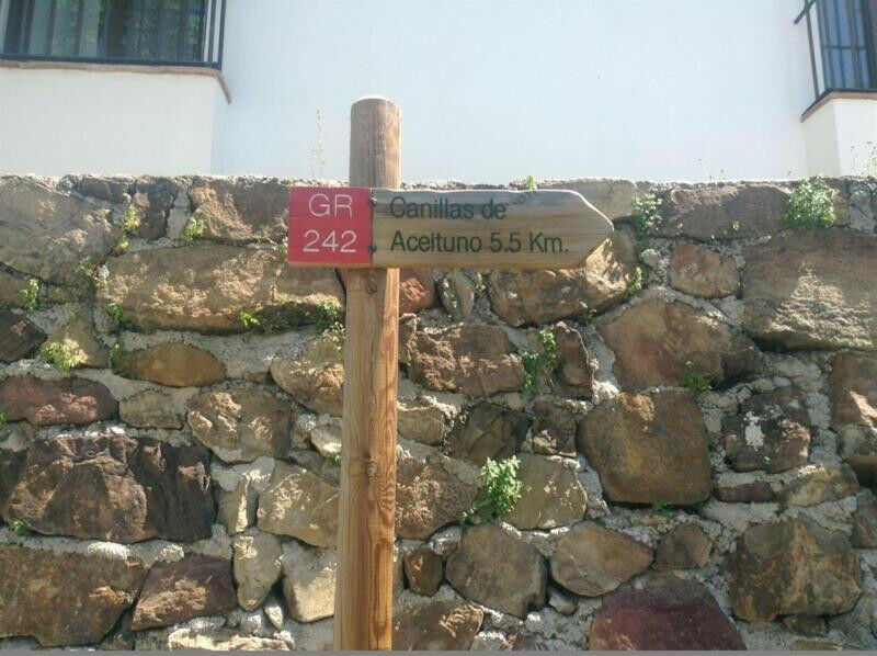 Finca - Cortijo Canillas de Aceituno Málaga - image 29