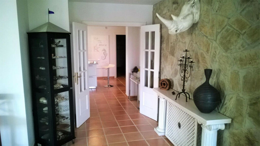 Detached Villa Benajarafe Málaga - image 29