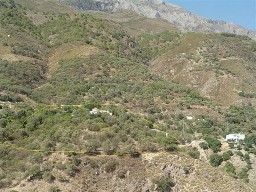 Detached Villa Canillas de Aceituno Málaga - image 3