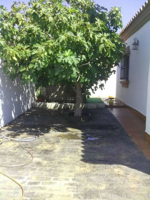 Detached Villa Chiclana de la Frontera Cádiz - image 3