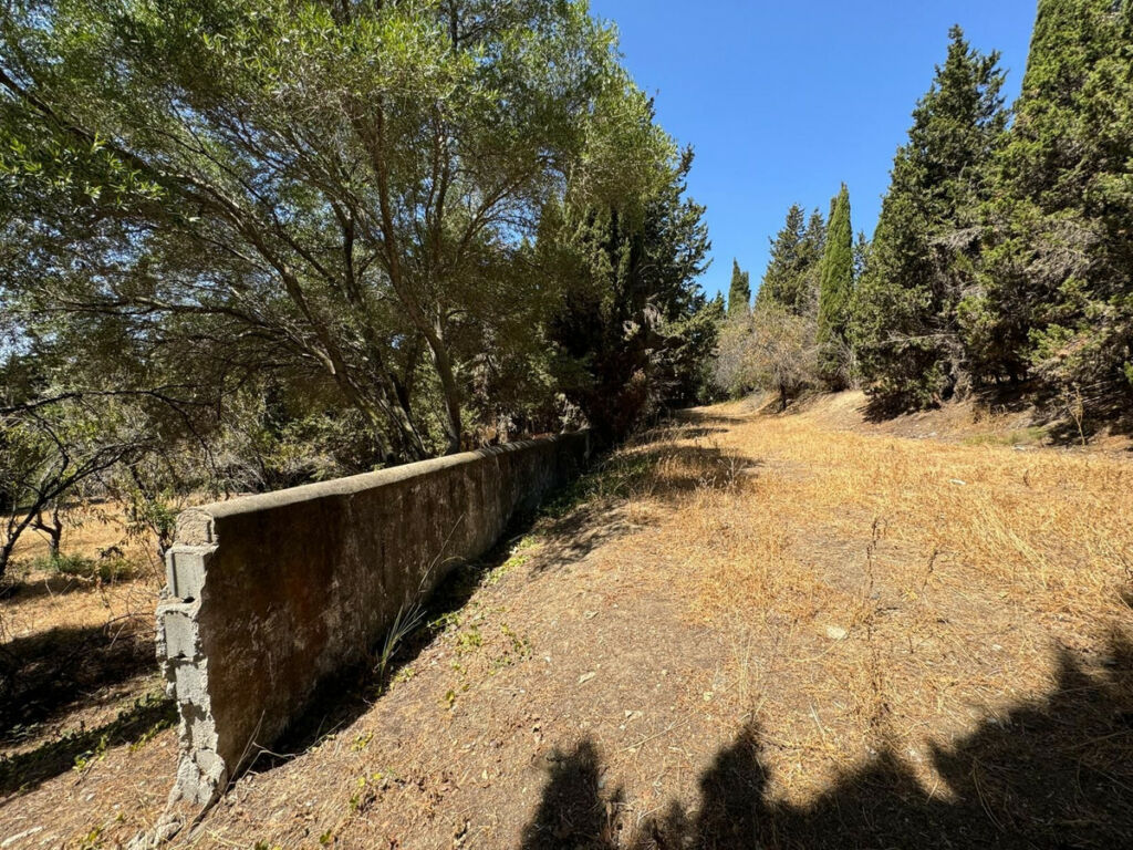 Residential Plot San Roque Cádiz - image 3