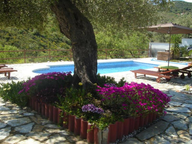 Detached Villa Colmenar Málaga - image 3