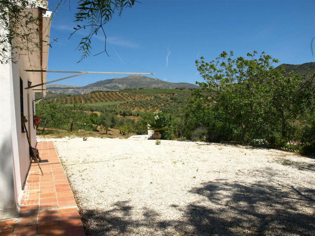 Finca - Cortijo Riogordo Málaga - image 3