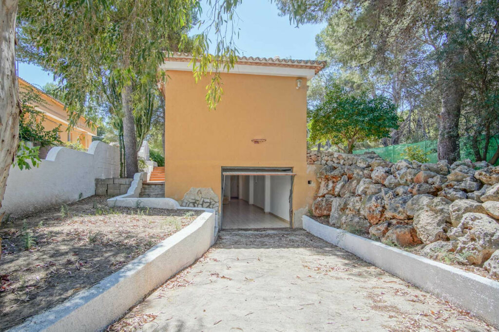 Detached Villa Denia Alicante - image 3
