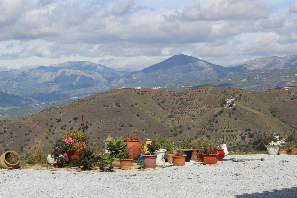 Finca - Cortijo Canillas de Aceituno Málaga - image 3