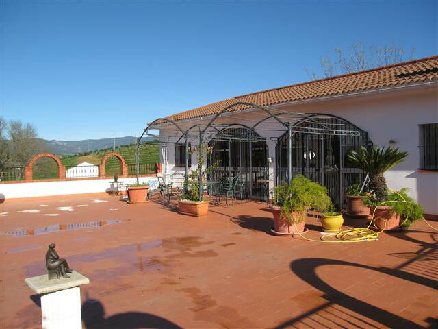 Finca - Cortijo Jimena de la Frontera Cádiz - image 3