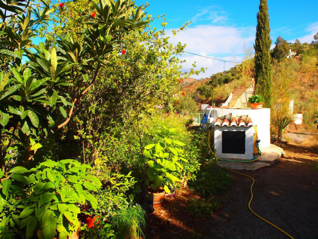 Finca - Cortijo Canillas de Aceituno Málaga - image 3