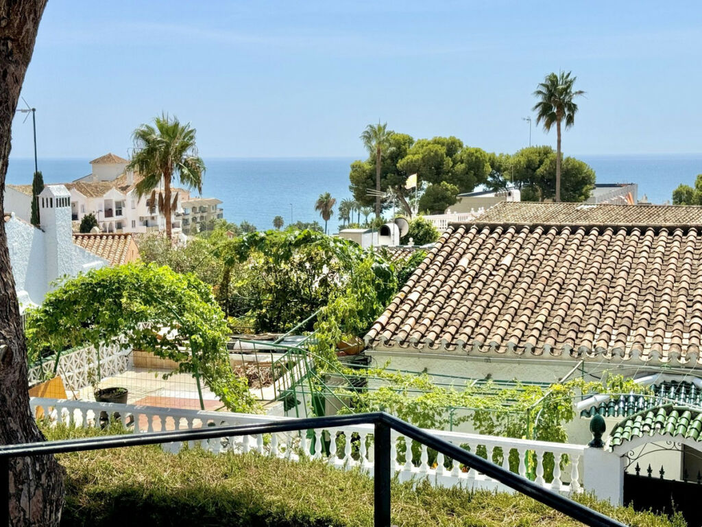 Detached Villa Calahonda Málaga - image 3