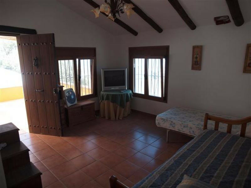 Finca - Cortijo Algarrobo Málaga - image 3