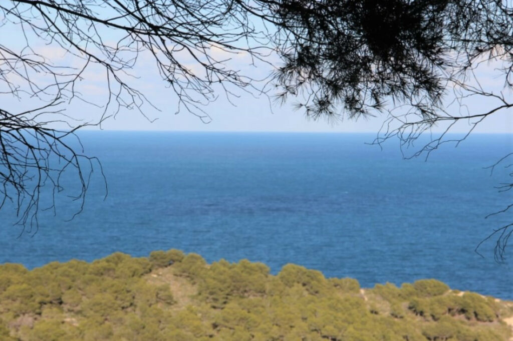Land Javea Alicante - image 3