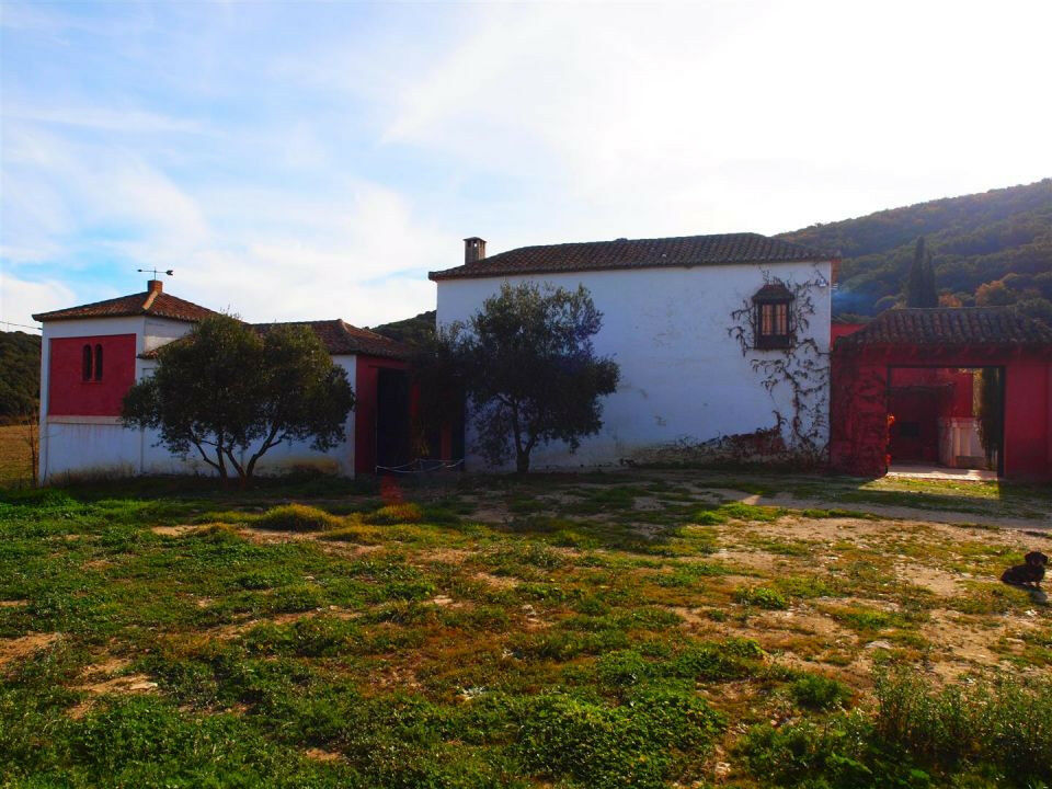 Finca - Cortijo Alcaucín Málaga - image 3