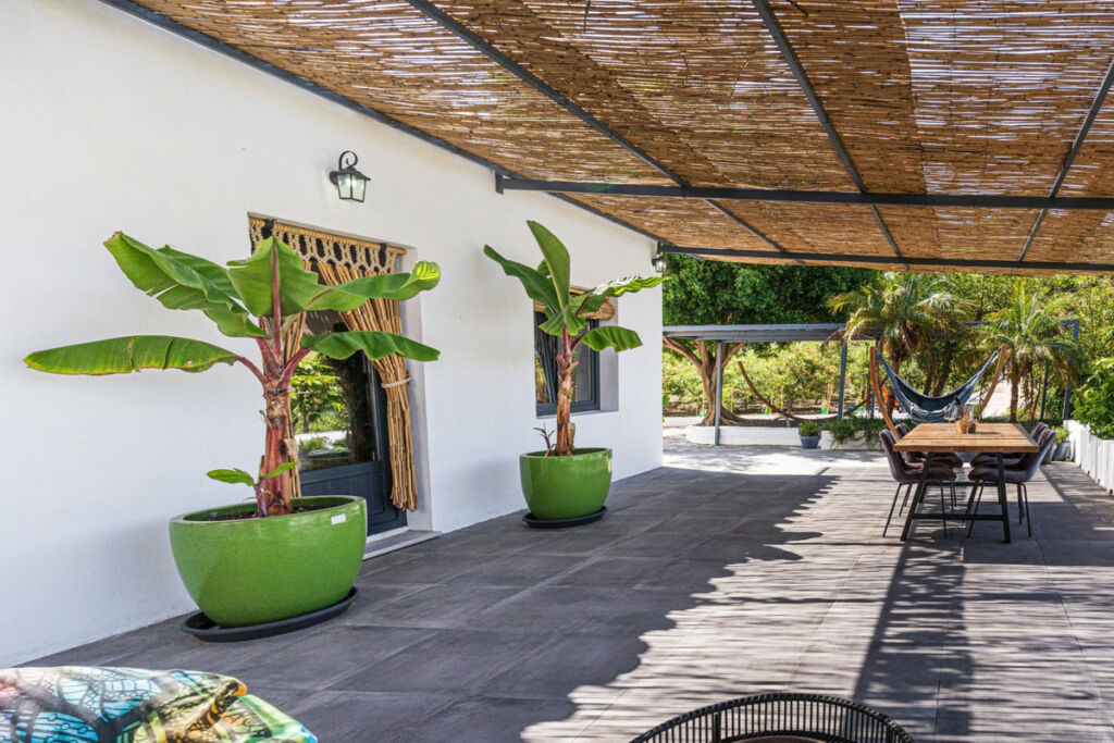 Finca - Cortijo Vélez-Málaga Málaga - image 3