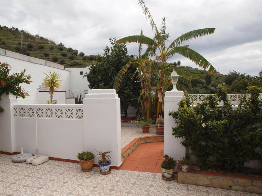 Finca - Cortijo Torrox Málaga - image 3