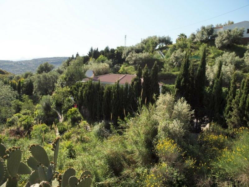 Detached Villa Alcaucín Málaga - image 3