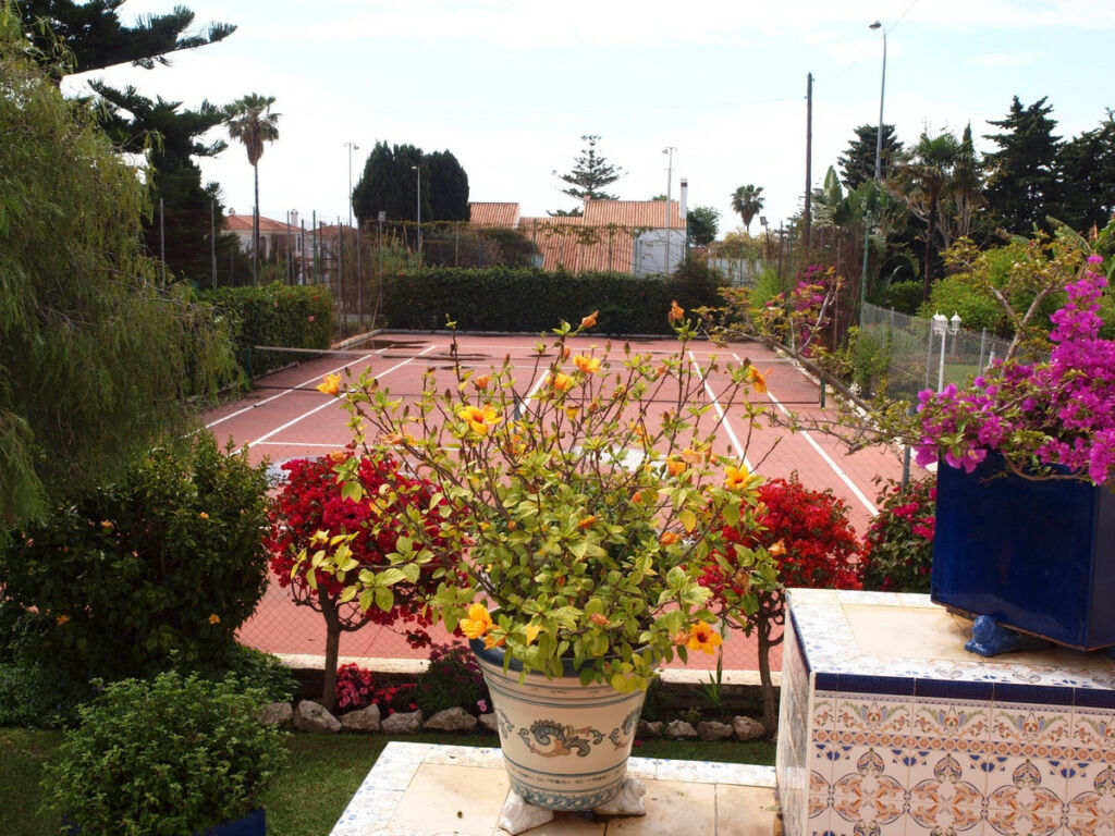 Detached Villa Benajarafe Málaga - image 3