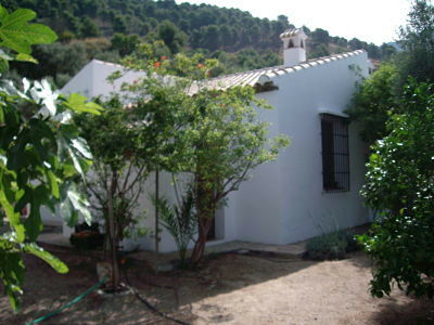 Finca - Cortijo Canillas de Aceituno Málaga - image 3