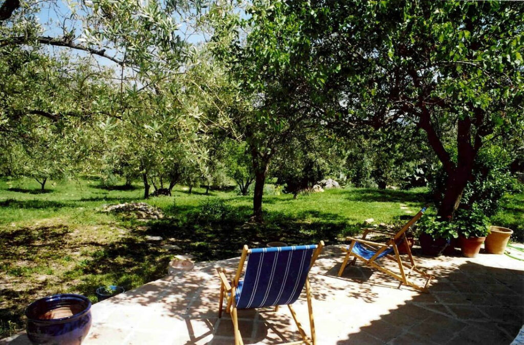 Finca - Cortijo Periana Málaga - image 3
