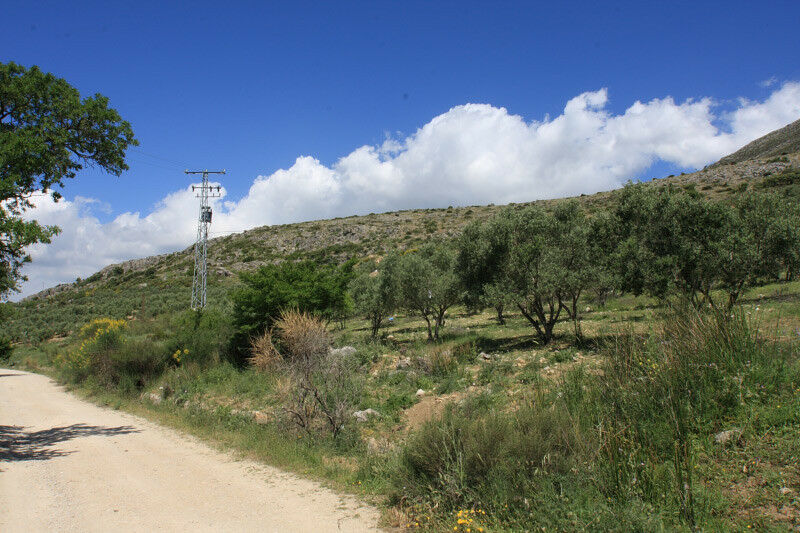 Land Periana Málaga - image 3