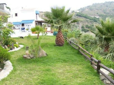 Detached Villa Torrox Málaga - image 3