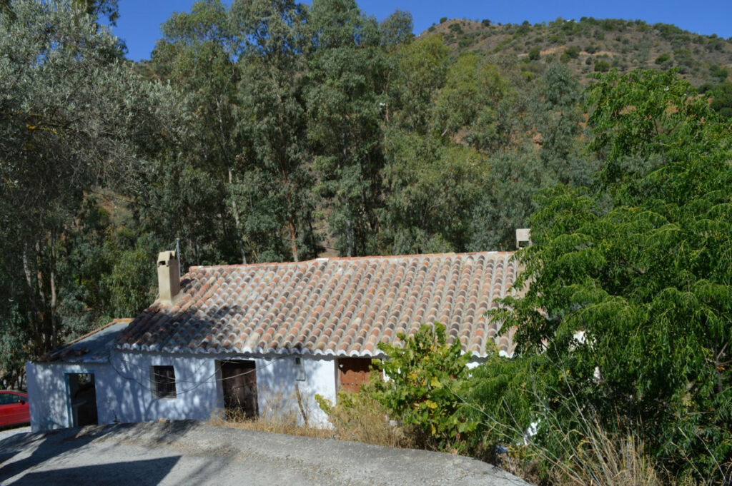 Residential Plot Comares Málaga - image 3
