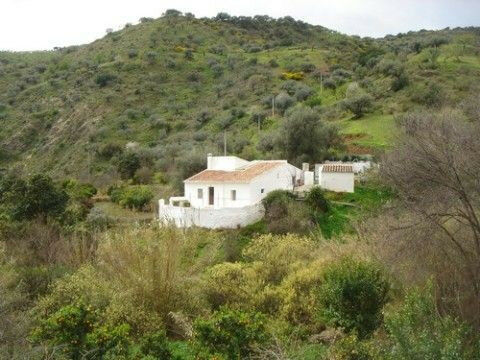 Detached Villa Riogordo Málaga - image 2