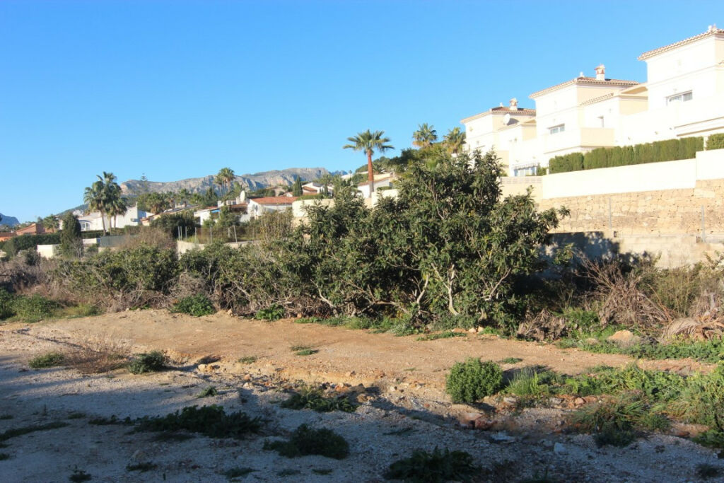 Land Calpe Alicante - image 3