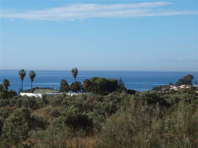 Detached Villa Chilches Málaga - image 3