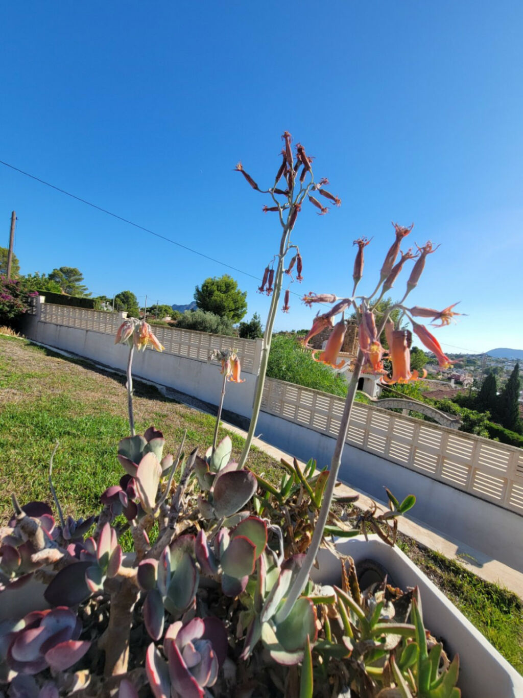 Detached Villa Calpe Alicante - image 31