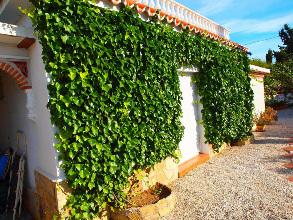Detached Villa Mezquitilla Málaga - image 31