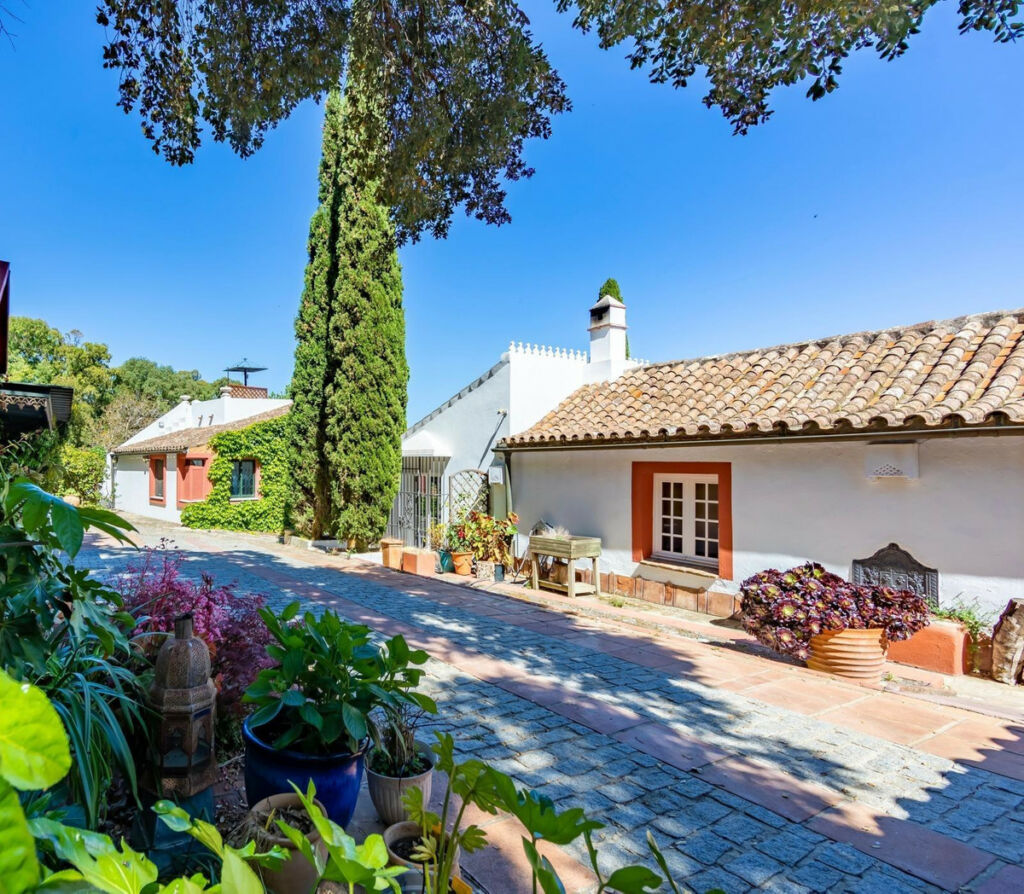 Finca - Cortijo Tarifa Cádiz - image 31