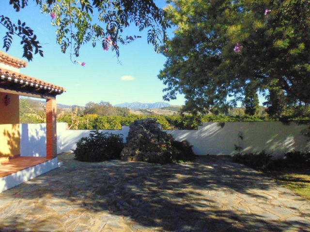 Finca - Cortijo Jimena de la Frontera Cádiz - image 28