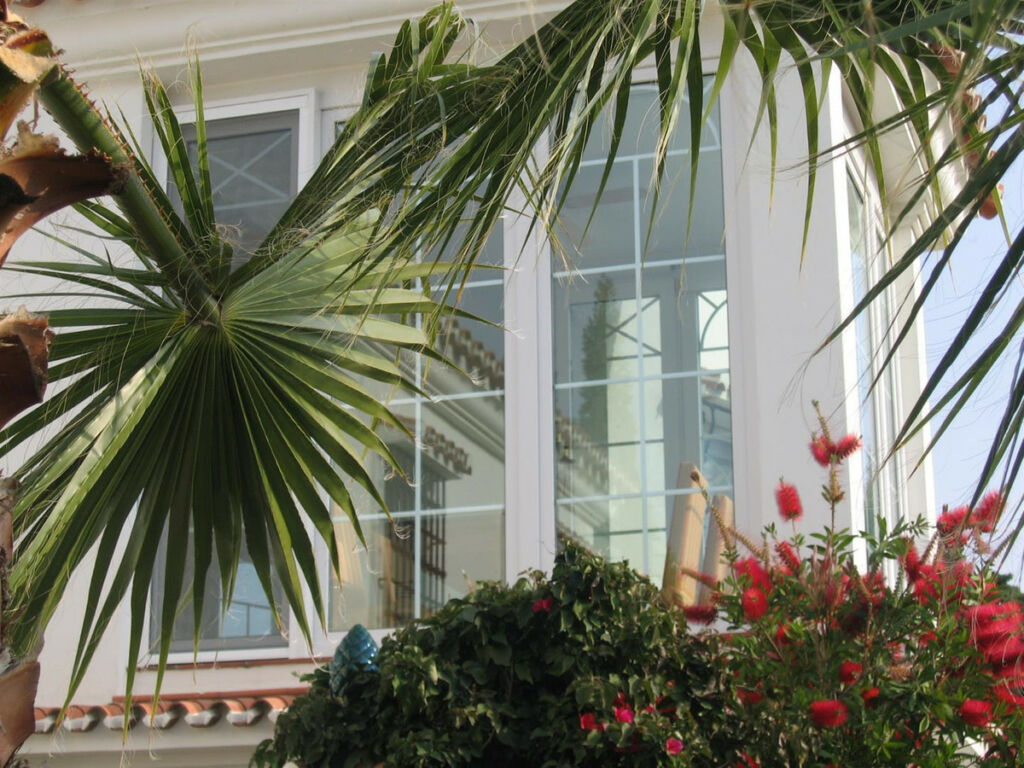 Detached Villa Benajarafe Málaga - image 32
