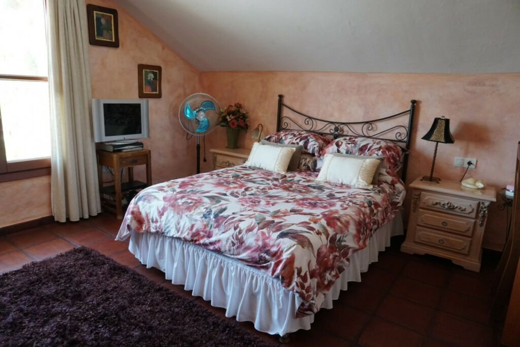 Detached Villa Alcaucín Málaga - image 32