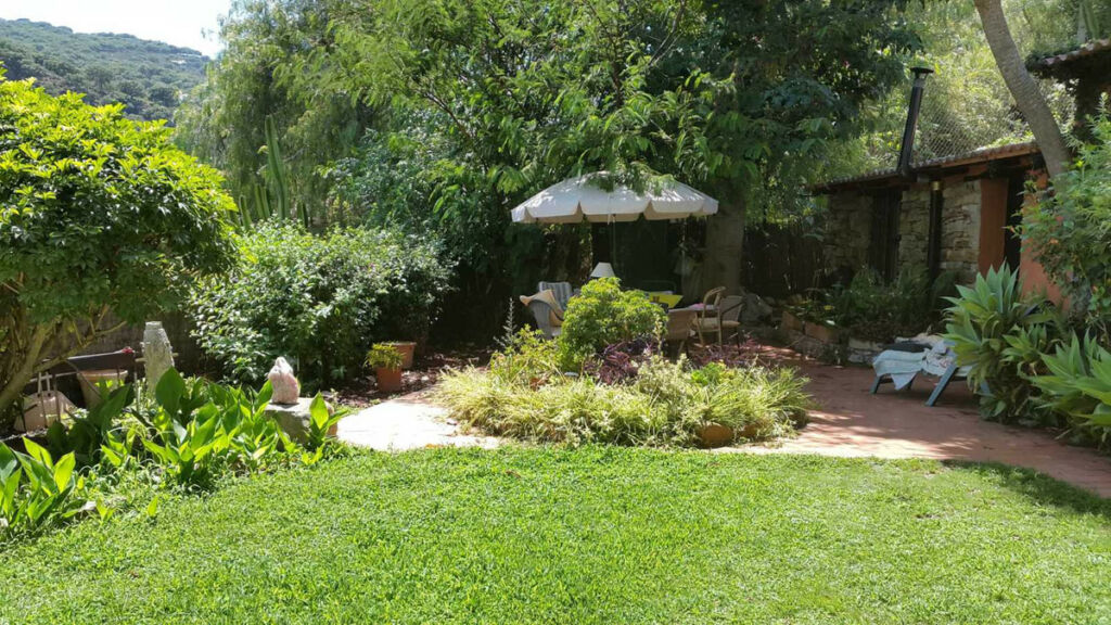 Finca - Cortijo Jimena de la Frontera Cádiz - image 32