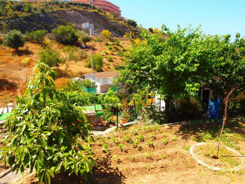 Finca - Cortijo Rincón de la Victoria Málaga - image 33