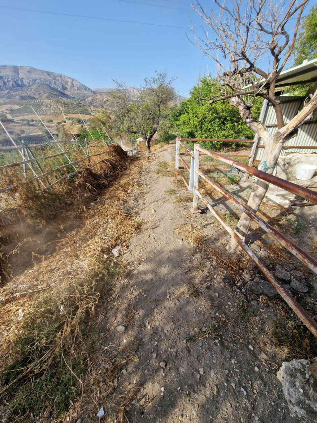 Detached Villa Alora Málaga - image 33
